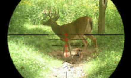 Five Tips for Managing Buck Fever