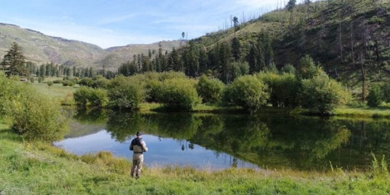 For $7.5 Million, this New Mexico Ranch Can Be Your Fly Fishing Dream