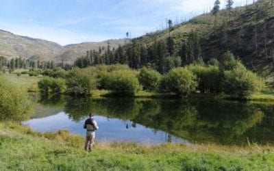 For $7.5 Million, this New Mexico Ranch Can Be Your Fly Fishing Dream