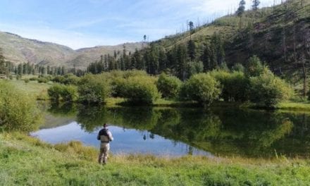 For $7.5 Million, this New Mexico Ranch Can Be Your Fly Fishing Dream