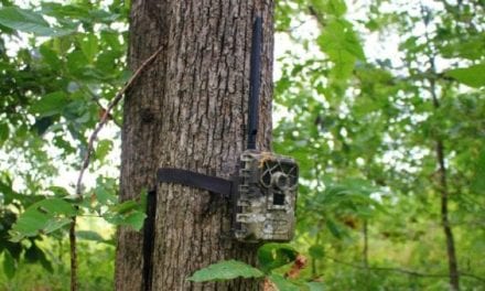 Gear Review: Covert’s Blackhawk LTE Wireless Camera