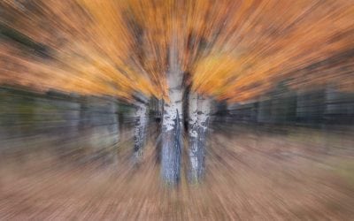 Get Out From Under Your Protective Umbrella