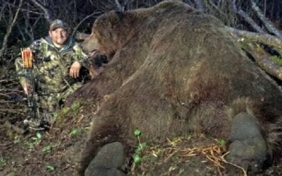 Giant Alaskan Brown Bear Breaks World Record