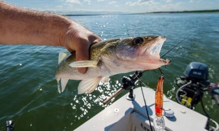 How to Raise Big Walleye