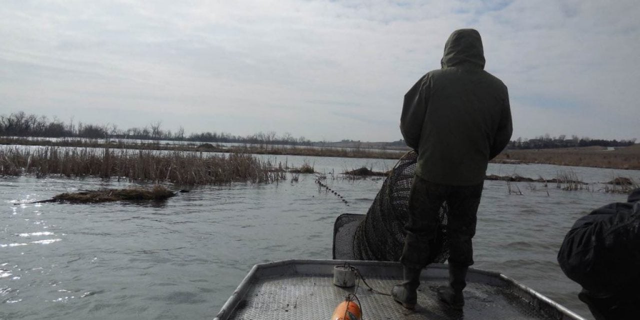 It is October and Fish Sampling is in the Air