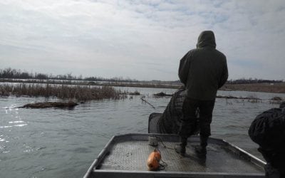 It is October and Fish Sampling is in the Air