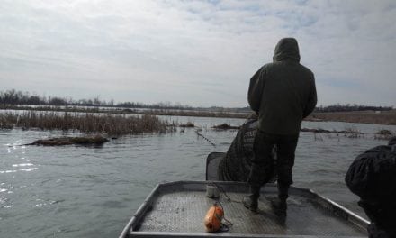 It is October and Fish Sampling is in the Air