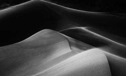 Monochrome Magic Assignment Winner Jeff Sullivan