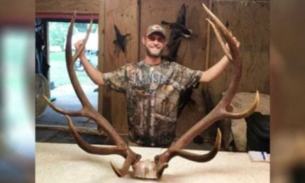 Muzzleloader Elk Hunt May Have Produced a Kansas Record