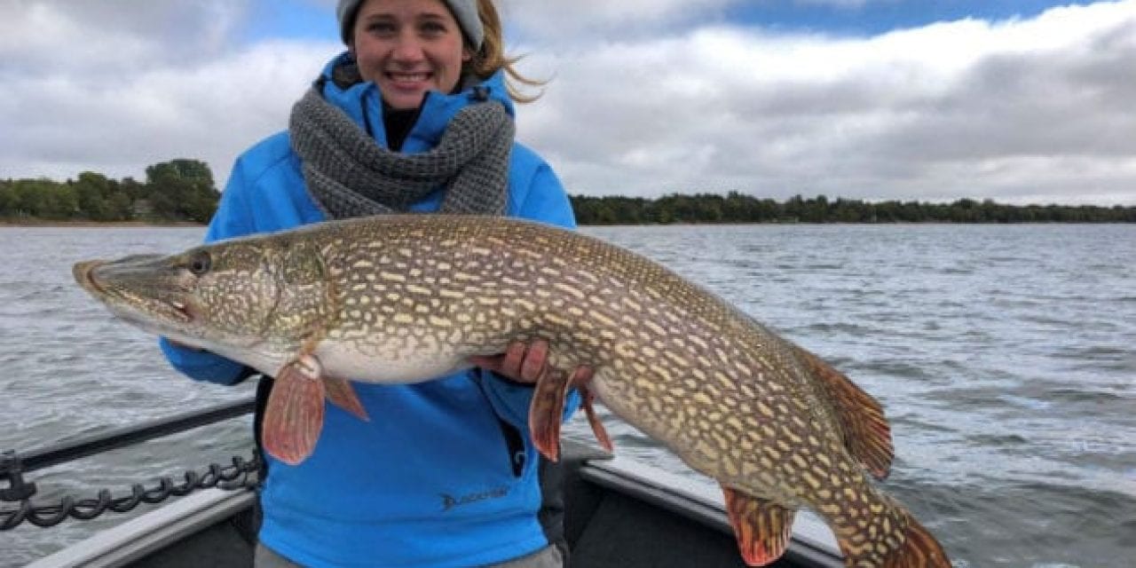 New Minnesota State Record Northern Pike