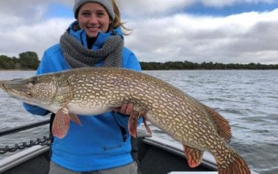 New Minnesota State Record Northern Pike
