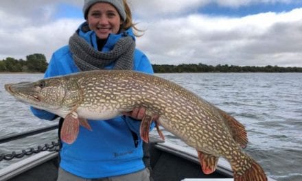 New Minnesota State Record Northern Pike