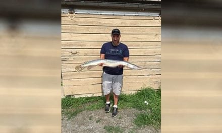 New York has a New Longnose Gar State Record