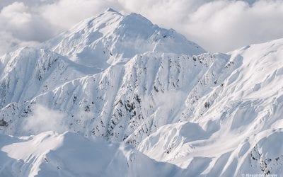 Photo Of The Day By Alexander Meyer