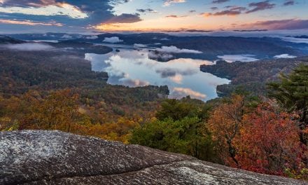 Photo Of The Day By Andrew Lockwood