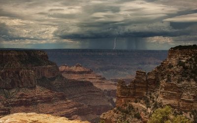 Photo Of The Day By Dave Stoker