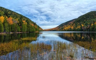 Photo Of The Day By Dennis Kowalewski