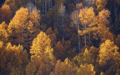 Photo Of The Day By Jason Roberts