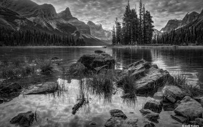 Photo Of The Day By Judi Kubes