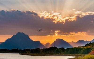 Photo Of The Day By Mary Hone