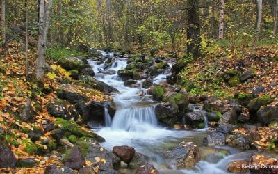 Photo Of The Day By Richard Ostrem