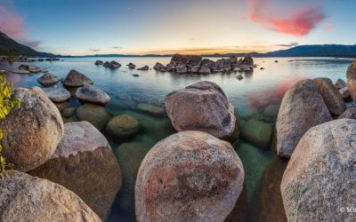 Photo Of The Day By Scott Thompson