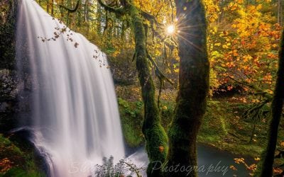 Photo Of The Day By Shane Stock