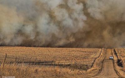 Photo Of The Day By Tom Arnhold