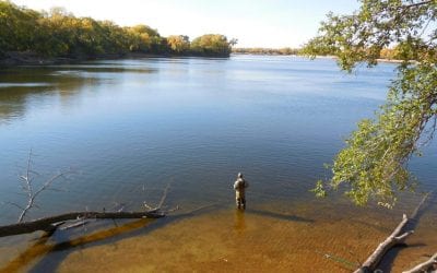 Pretty Time of Year, Pretty Fish Too!