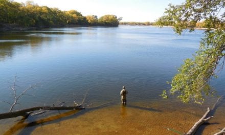 Pretty Time of Year, Pretty Fish Too!