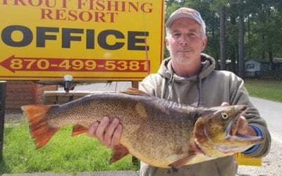 Record Cutthroat from White River In Arkansas