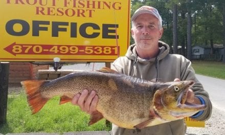 Record Cutthroat from White River In Arkansas