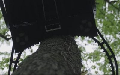 Safest Ladder Stands on the Market