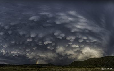 Summer Storms Assignment Winner Beth Holmes