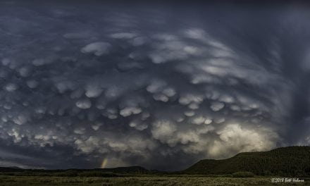 Summer Storms Assignment Winner Beth Holmes