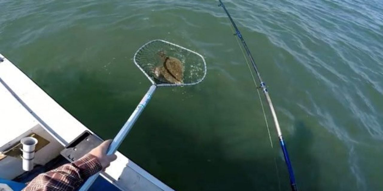 This Flounder Fishing Technique Works Every Time