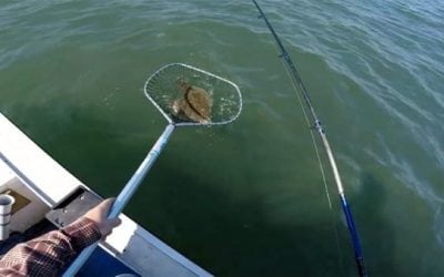 This Flounder Fishing Technique Works Every Time