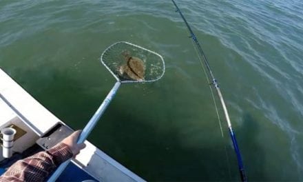 This Flounder Fishing Technique Works Every Time