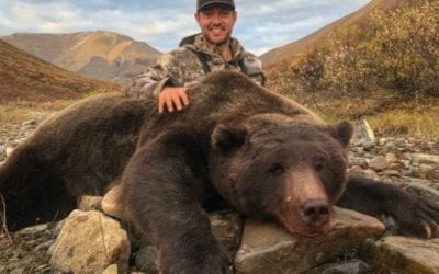 Tim Brent Responds to Death Threats for Photo of Hunted Grizzly Bear