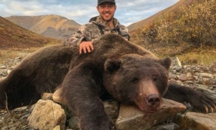 Tim Brent Responds to Death Threats for Photo of Hunted Grizzly Bear