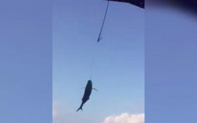 Video: Ever See Sportfishing Done With a Crane?