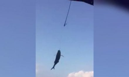 Video: Ever See Sportfishing Done With a Crane?
