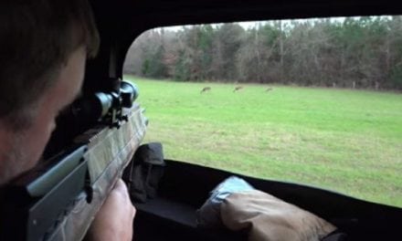 Watch This Man Hunt With a Crosman Pioneer Airbow