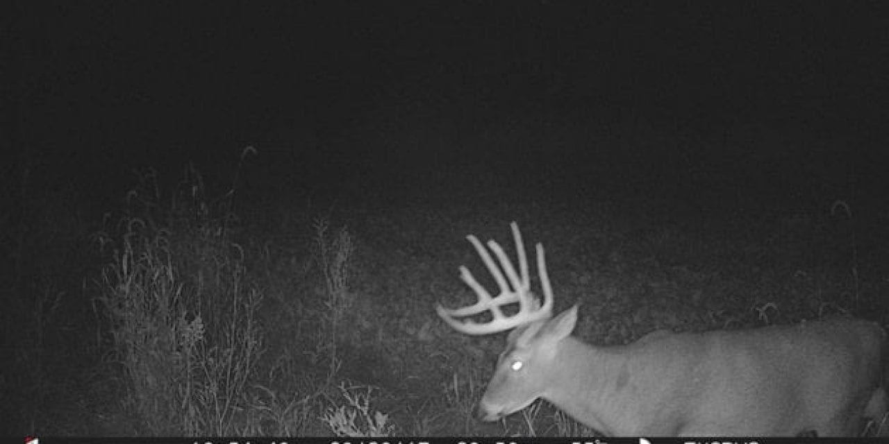 Where to Place Trail Cameras During the Early Season