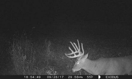 Where to Place Trail Cameras During the Early Season