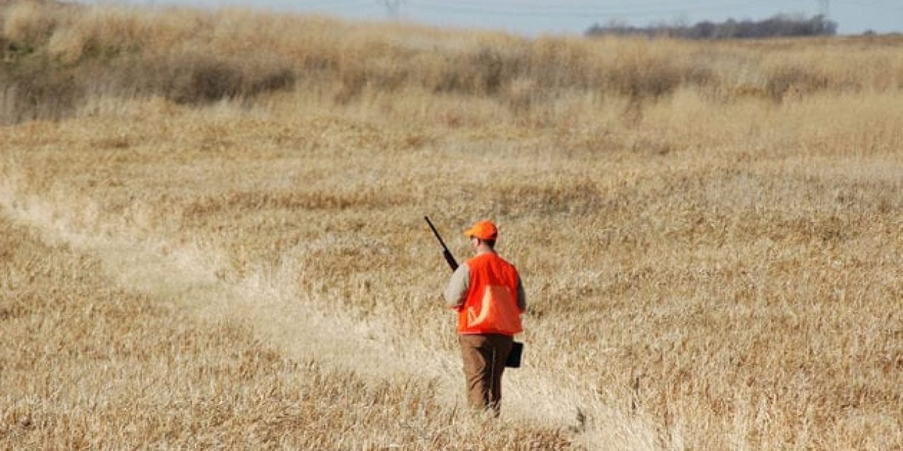 Why the Upland Bird Hunter Shouldn’t Be Discounted