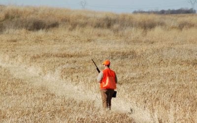 Why the Upland Bird Hunter Shouldn’t Be Discounted