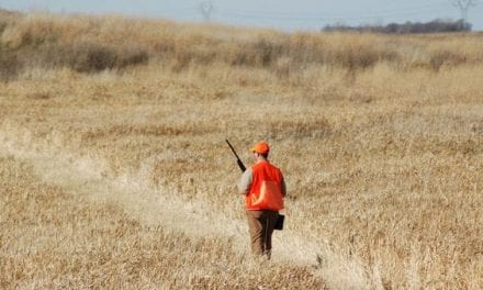 Why the Upland Bird Hunter Shouldn’t Be Discounted