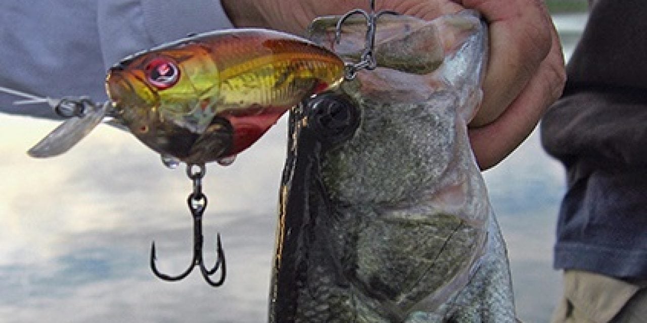 Yamamoto Custom Baits: Fishing During Fall Turnover