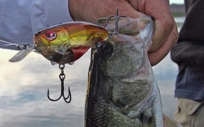 Yamamoto Custom Baits: Fishing During Fall Turnover